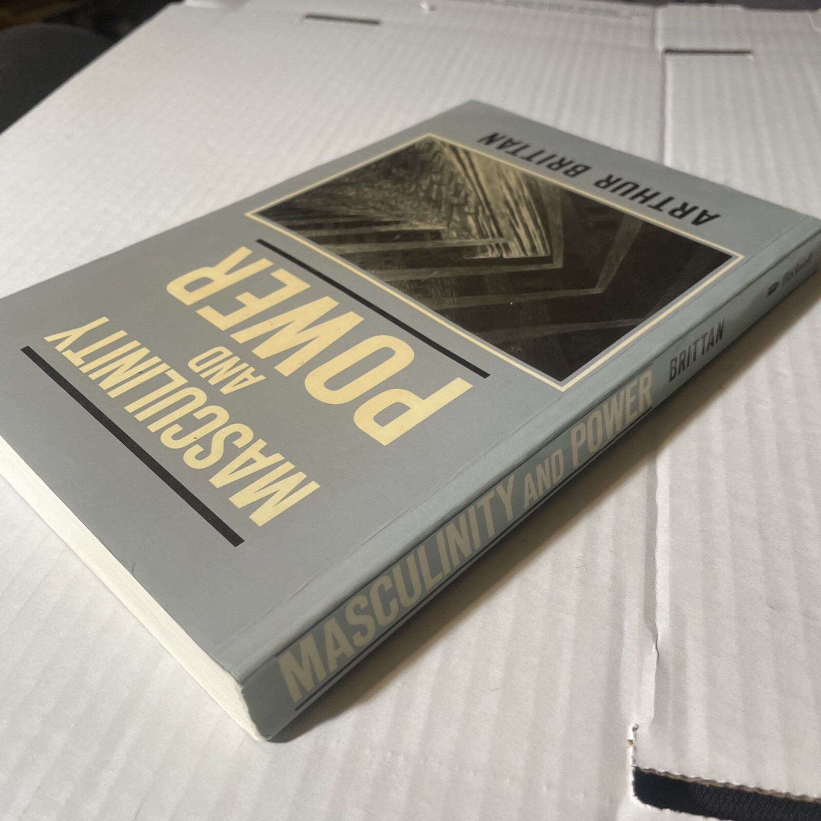 Masculinity and Power By Arthur Brittan