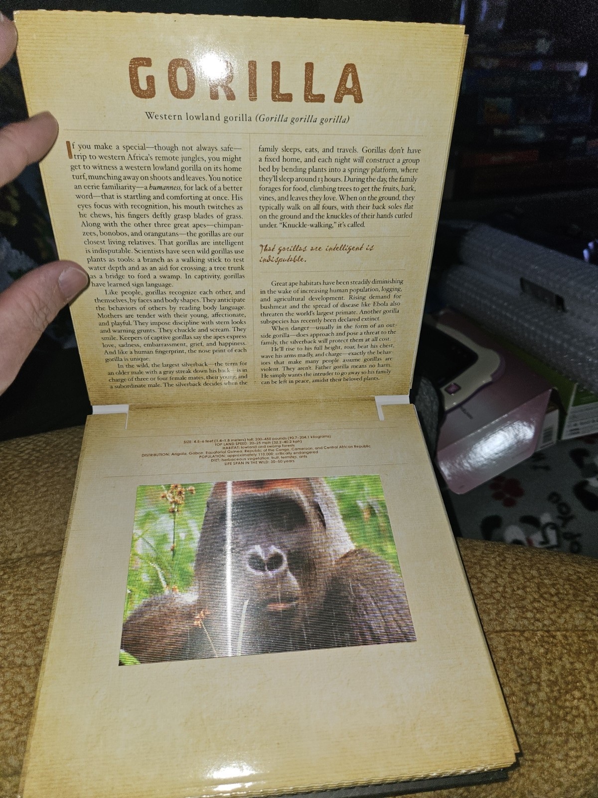 Dan Kainen Carol Kaufmann Safari: A Photicular Book HC Workman 1st Ed 2012