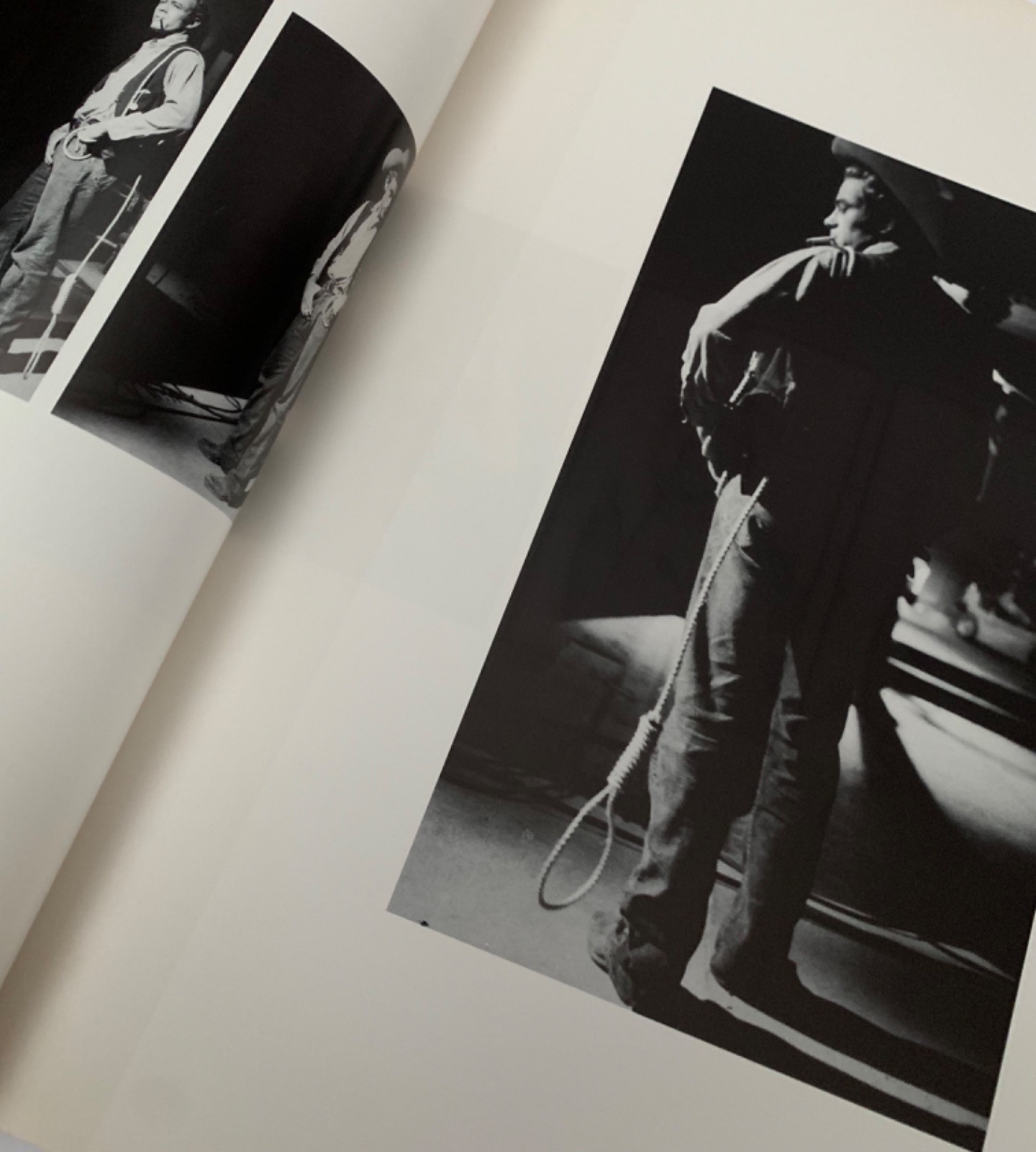 JAMES DEAN SANFORD ROTH 1983 LARGE ILLUSTRATED PHOTOGRAPHIC BOOK HOLLYWOOD FILM