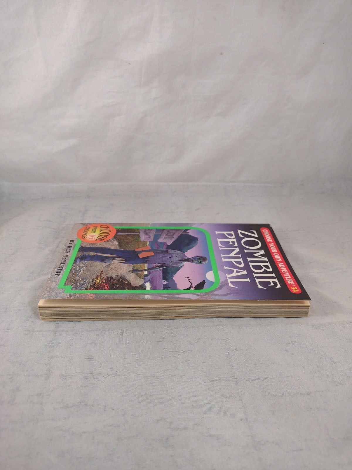 Zombie Penpal Choose Your Own Adventure #34 Paperback Ken McMurtry