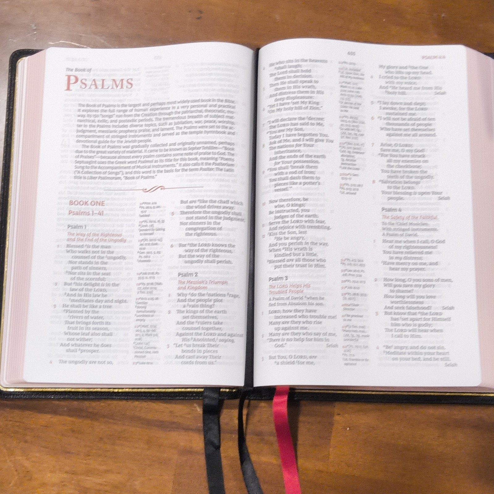 Thomas Nelson NKJV Verse-by-Verse Center-Column Ref Bible Premier Collection