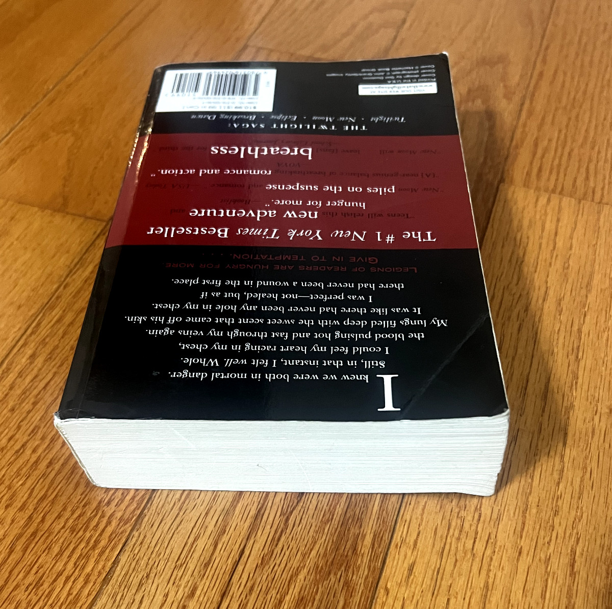 The Twilight Saga Ser.: New Moon by Stephenie Meyer (2008, Trade Paperback)