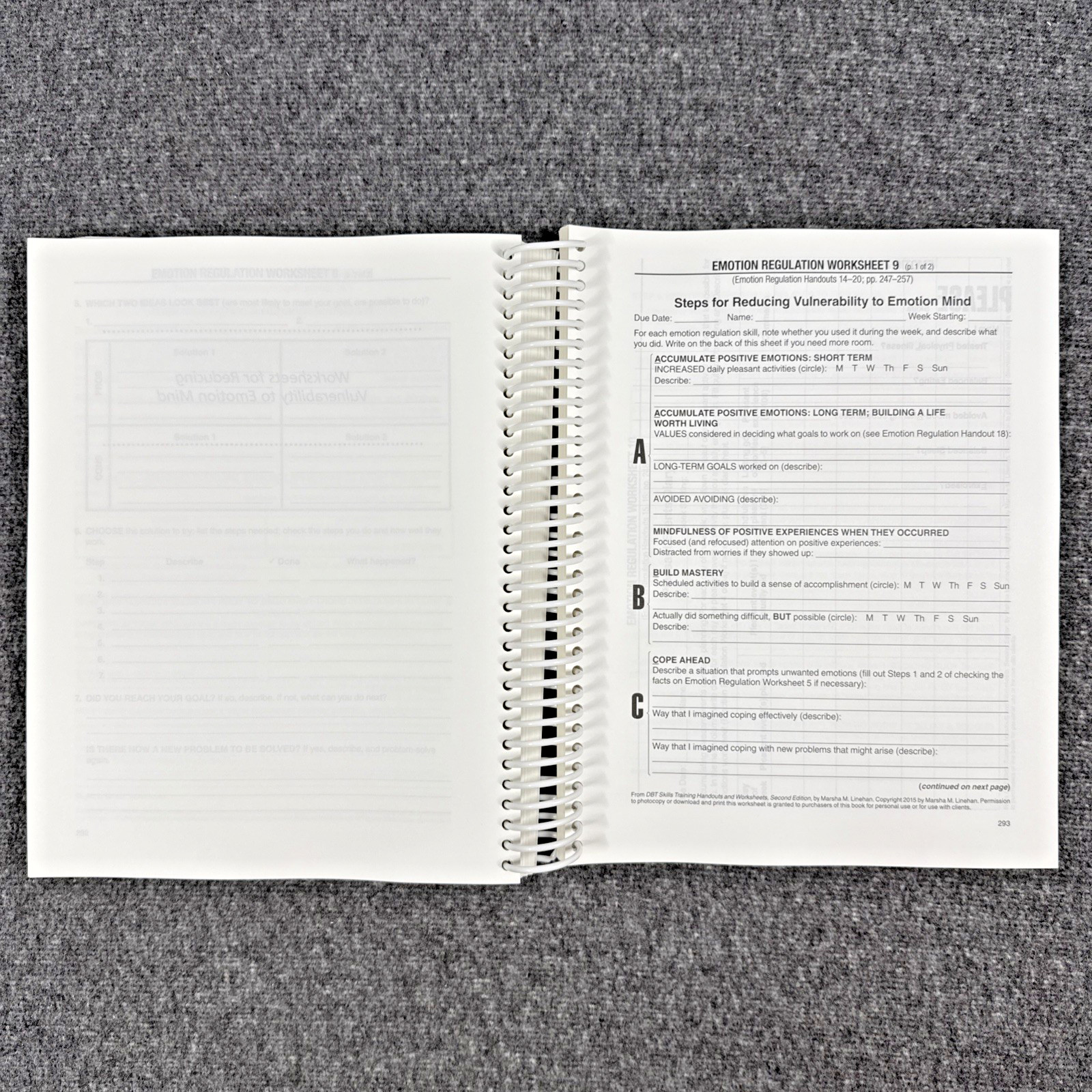 DBT Skills Training Handouts and Worksheets by Marsha M. Linehan, Like New