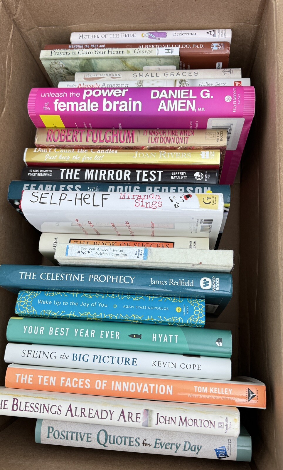 15 Pounds of Various Very Good Condition Books to Stock Little Free Library LFL