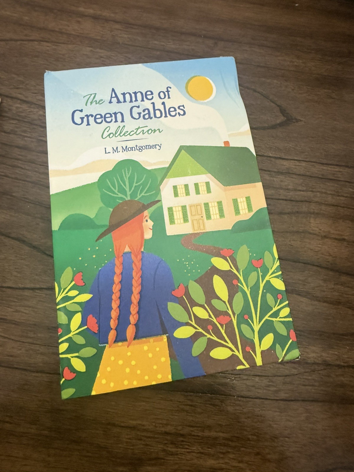 The Anne of Green Gables 6 Books Set w/ Journal Collection Hardcover In Box!
