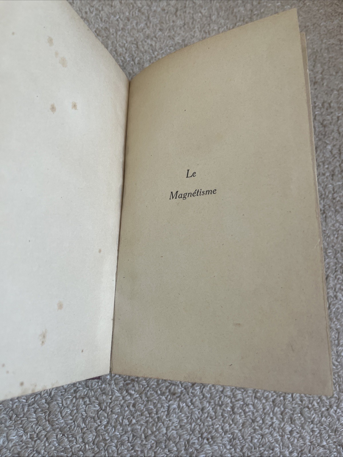 Le Magnétisme Pierre Weiss & Gabriel Foex 1st Edition 1926 Very Good Condition