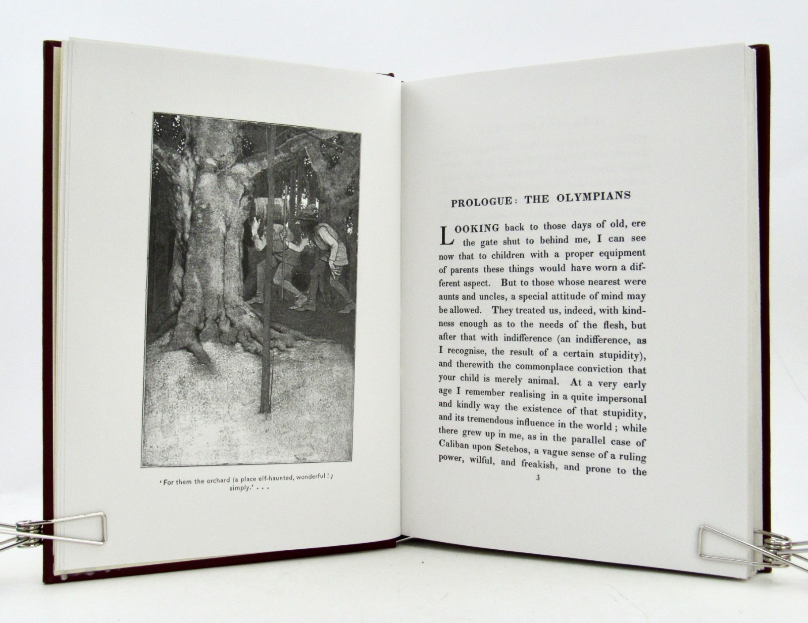 THE GOLDEN AGE Kenneth Grahame & Maxfield Parrish 1993 Ten Speed Press HBDJ EXC