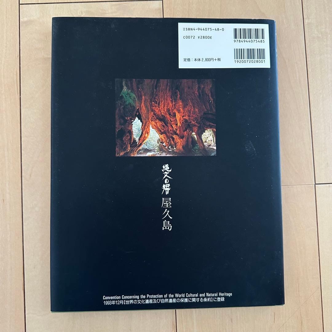 Jomon Resonance: Yakushima, Junko Mitsui