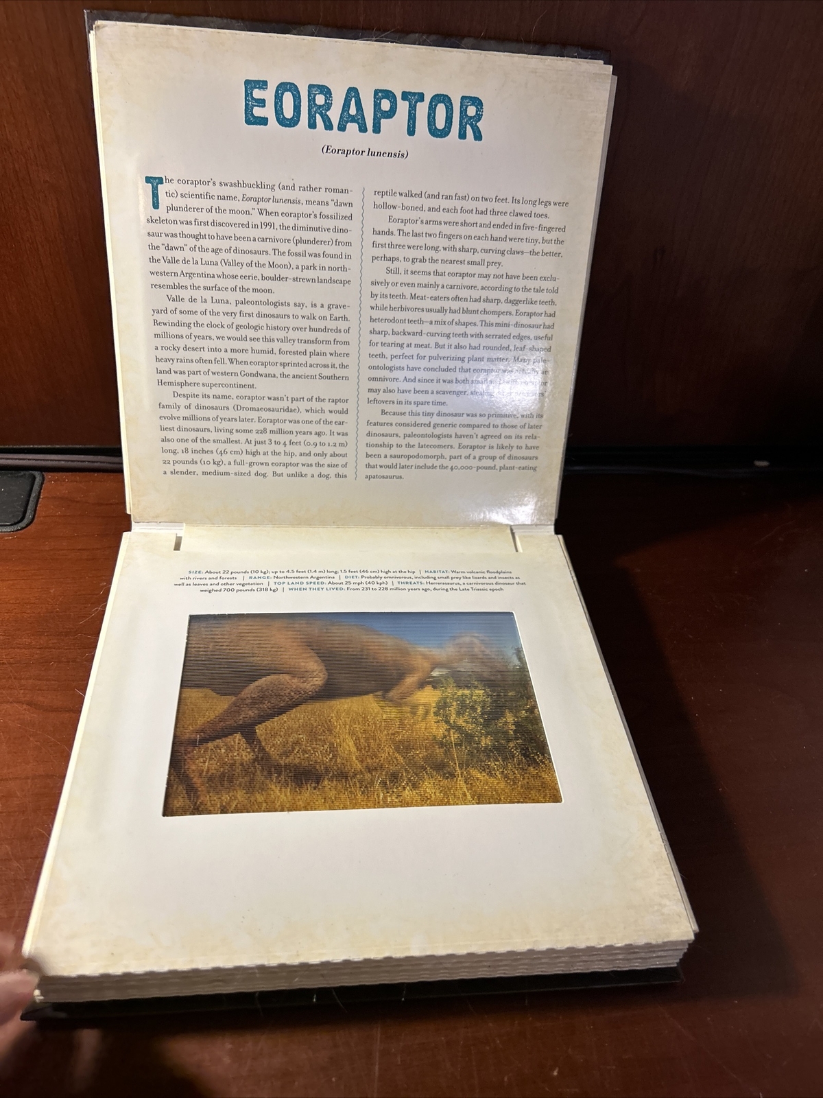 Photicular Ser.: Dinosaur : A Photicular Book by Kathy Wollard and Dan Kainen…