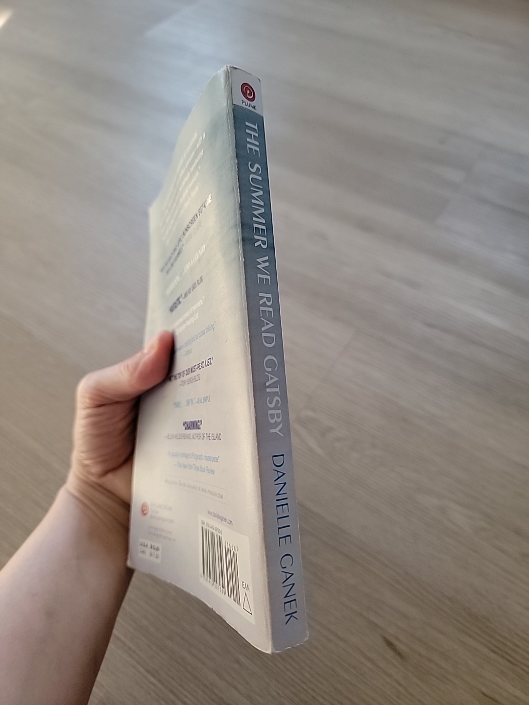 Summer We Read Gatsby : A Novel by Danielle Ganek (2011, Uk-B Format Paperback)