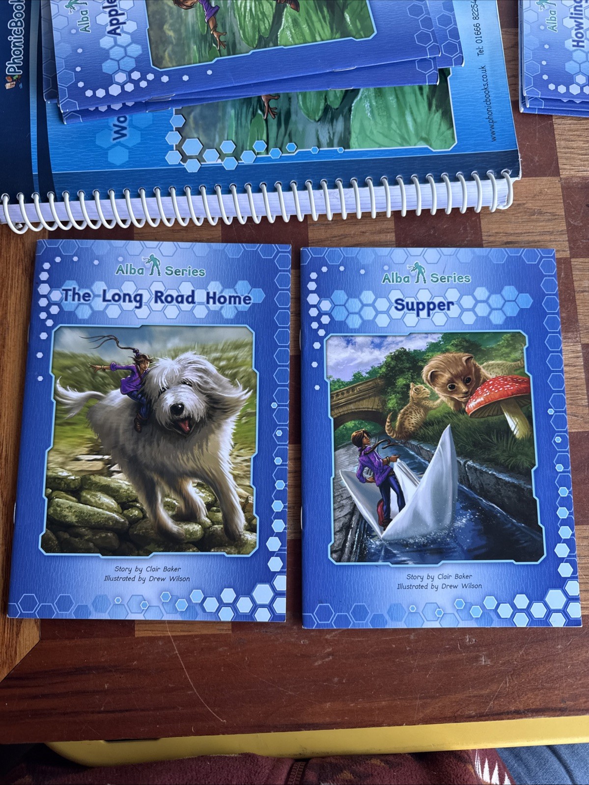 Phonic BOOK LOT: Alba Series Workbook With Books 1-12 Used Missing 1 Book