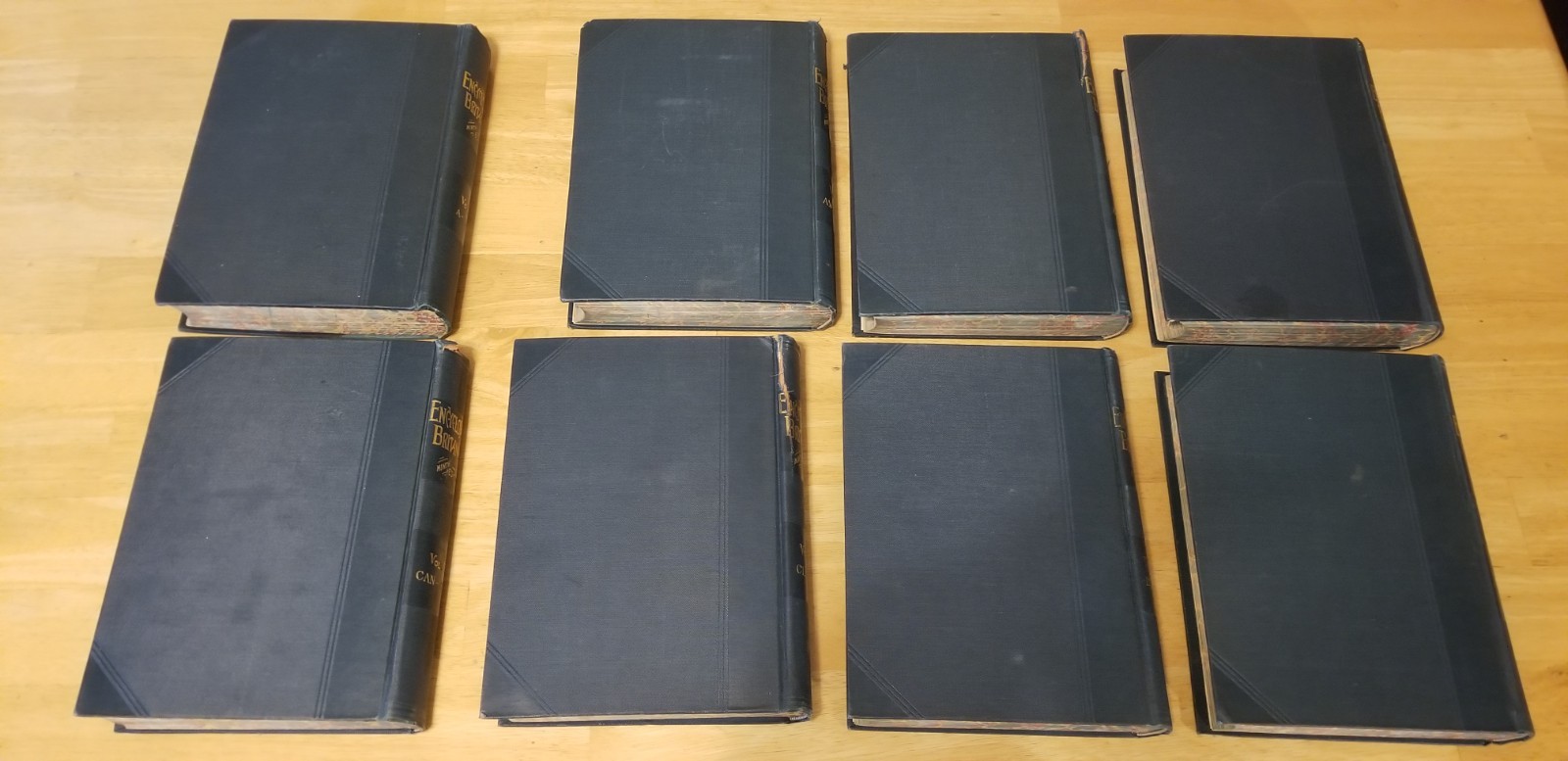 30 volume set Ninth Edition Encyclopedia Britannica Reprint 1890’s Henry G Allen