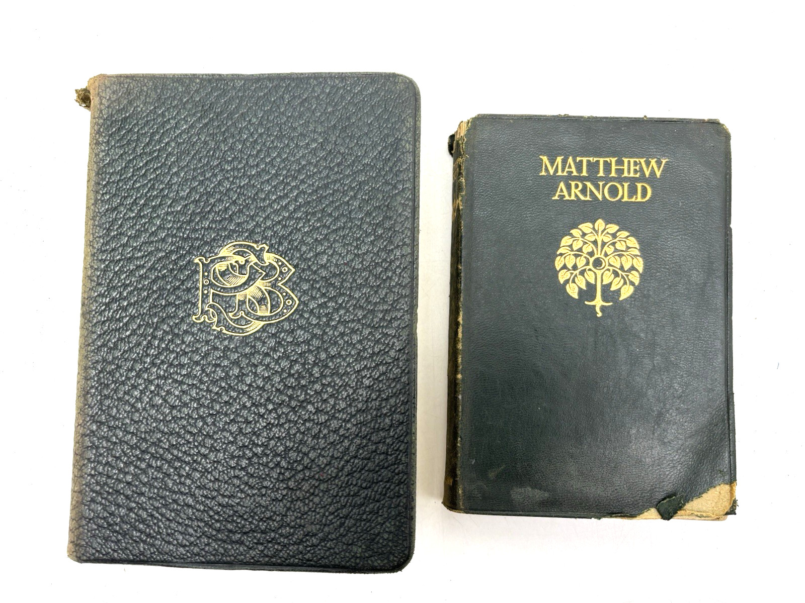Distressed Old Faux Leather Poetry Books for Decoration. 16.5cm shelf space.