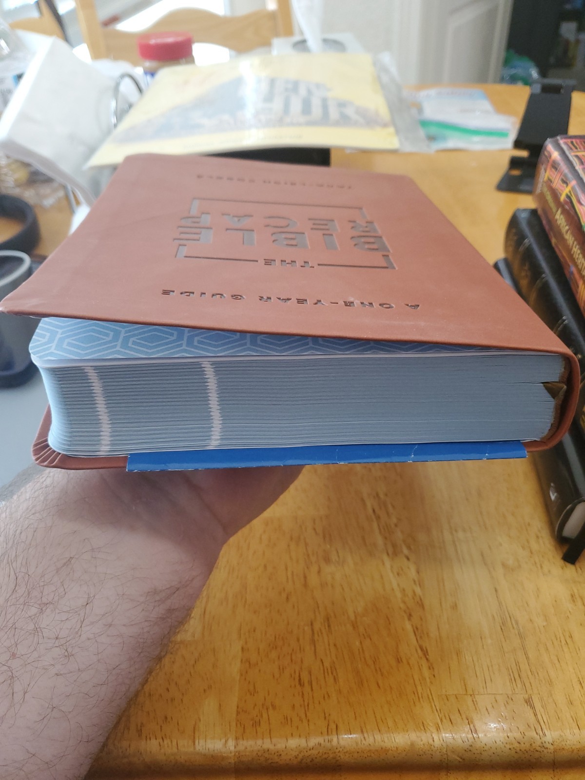 New The Bible Recap Deluxe Edition Tara-Leigh Cobble W/Damage