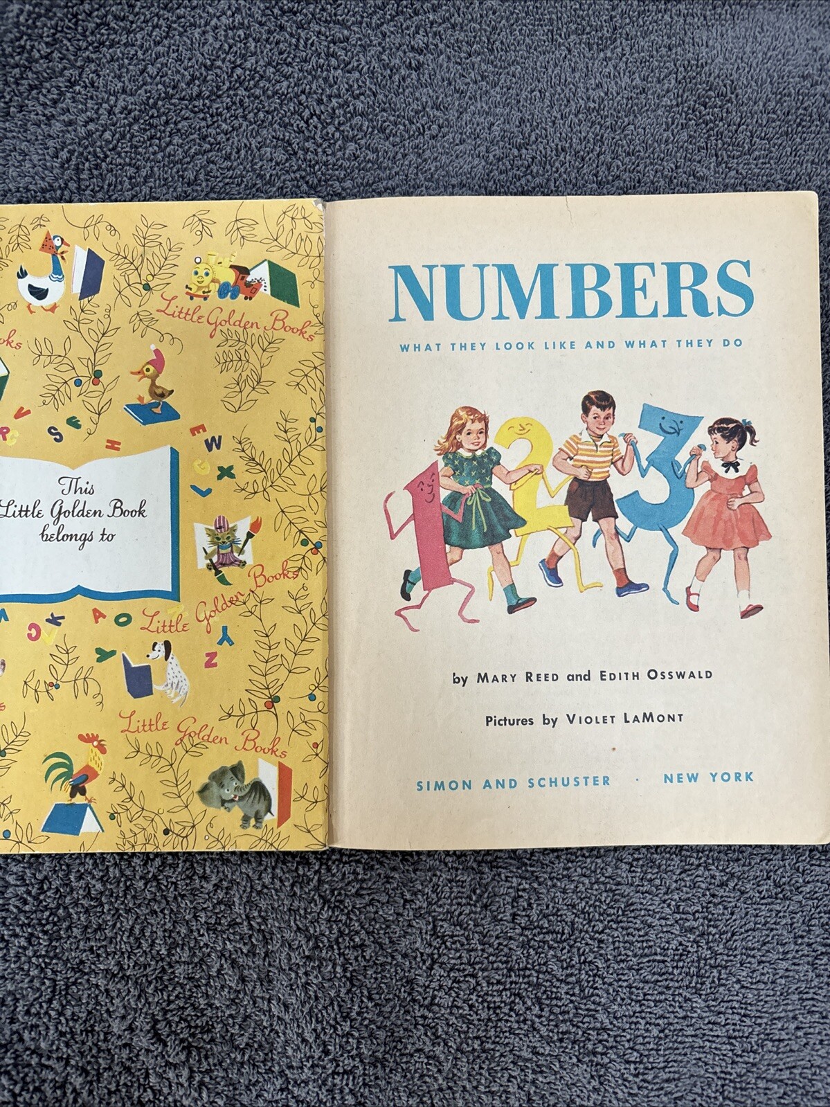 LITTLE GOLDEN NUMBERS 243 1955 A 1ST. EDITION .25
