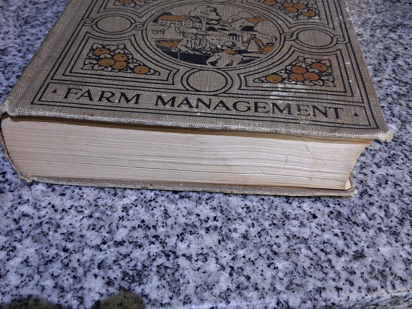 1919 Antique Agriculture Book “Farm Knowledge: Farm Management”