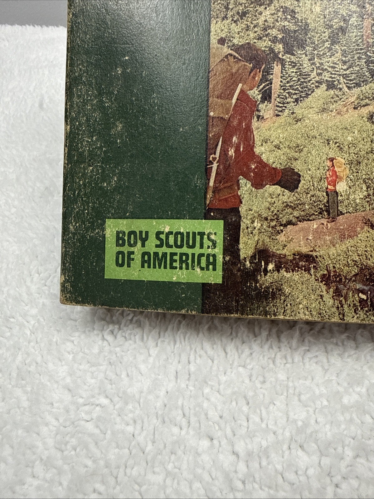 Fieldbook for Boys and Men ~ Boy Scouts of America 1969 PB Green