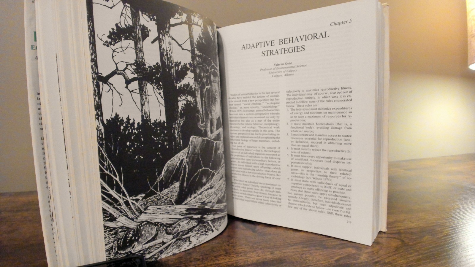Elk of North America : Ecology and Management by Wildlife Management 1982, HC/DJ