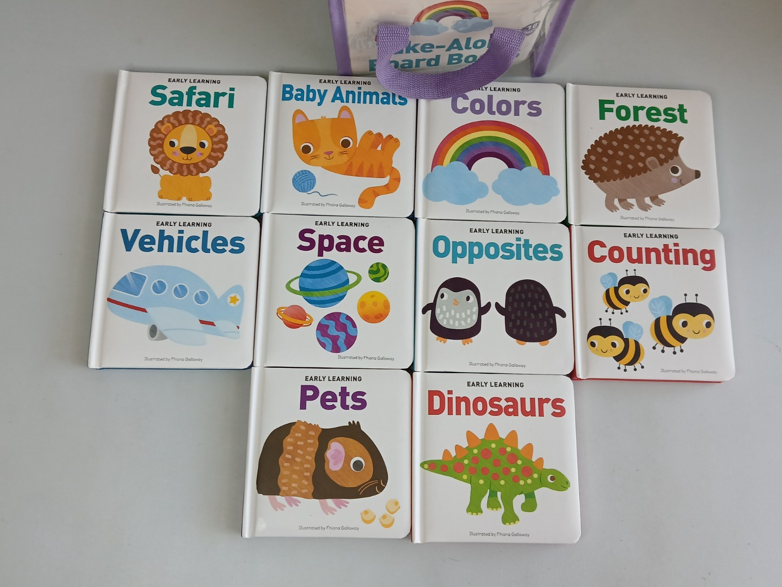 Early Learning TAKE-ALONG BOARD BOOKS Set of 10 in Carry Case Preowned