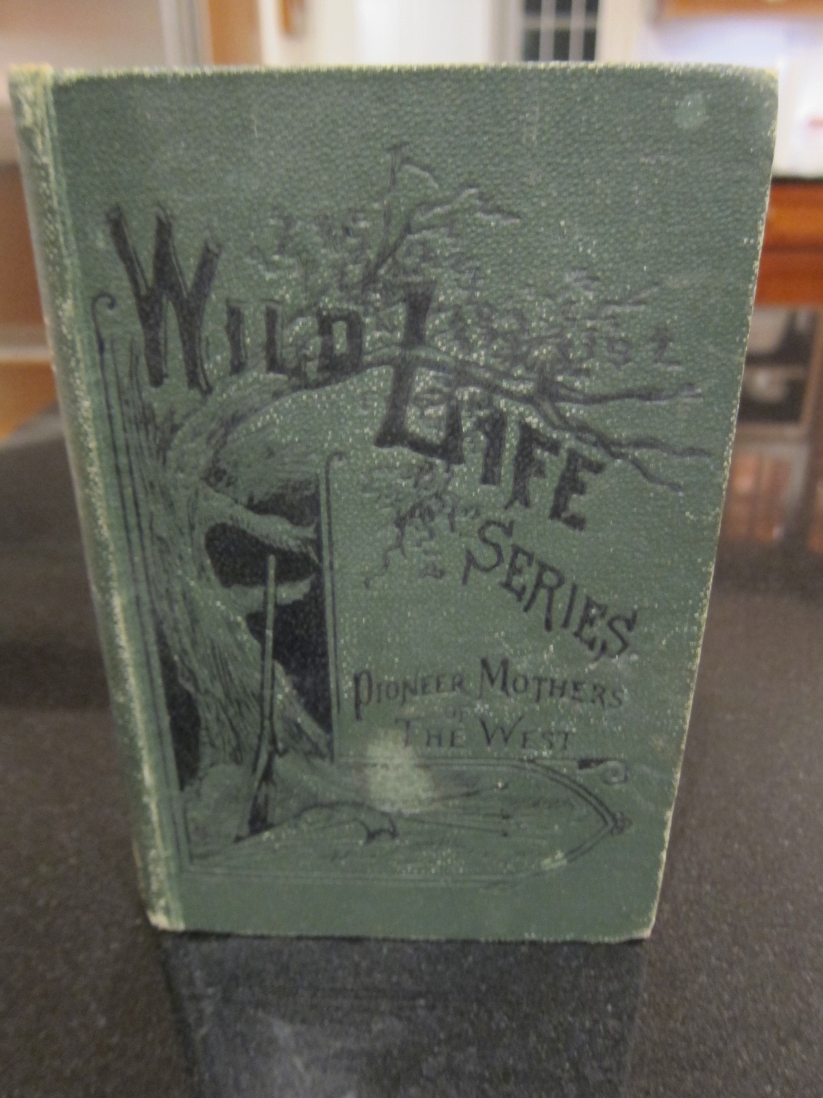 Pioneer Mothers of the West by John Frost, Lee and Shepard, 1859