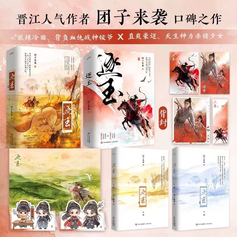 Pursuit of Jade Zhang LingHe Tian Xiwei Chinese Original Novel