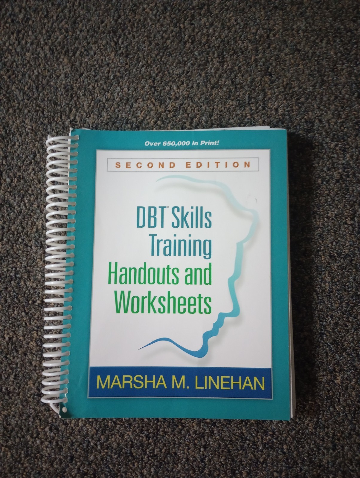 DBT Skills Training Handouts and Worksheets by Marsha M. Linehan (2014, Trade…