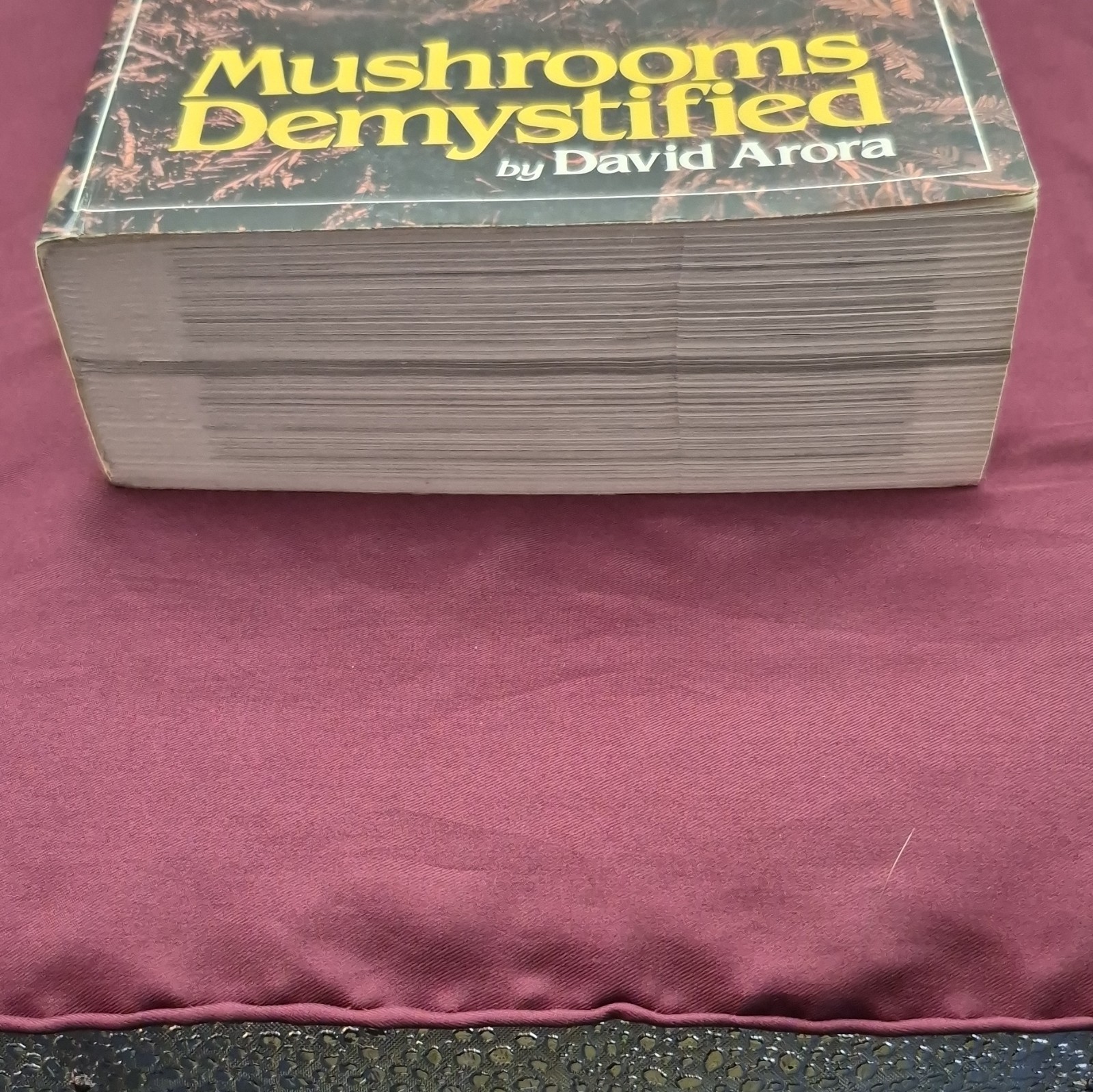 Mushrooms Demystified by David Arora 2nd Ed 1986 Trade PB Ten Speed Press Illus…