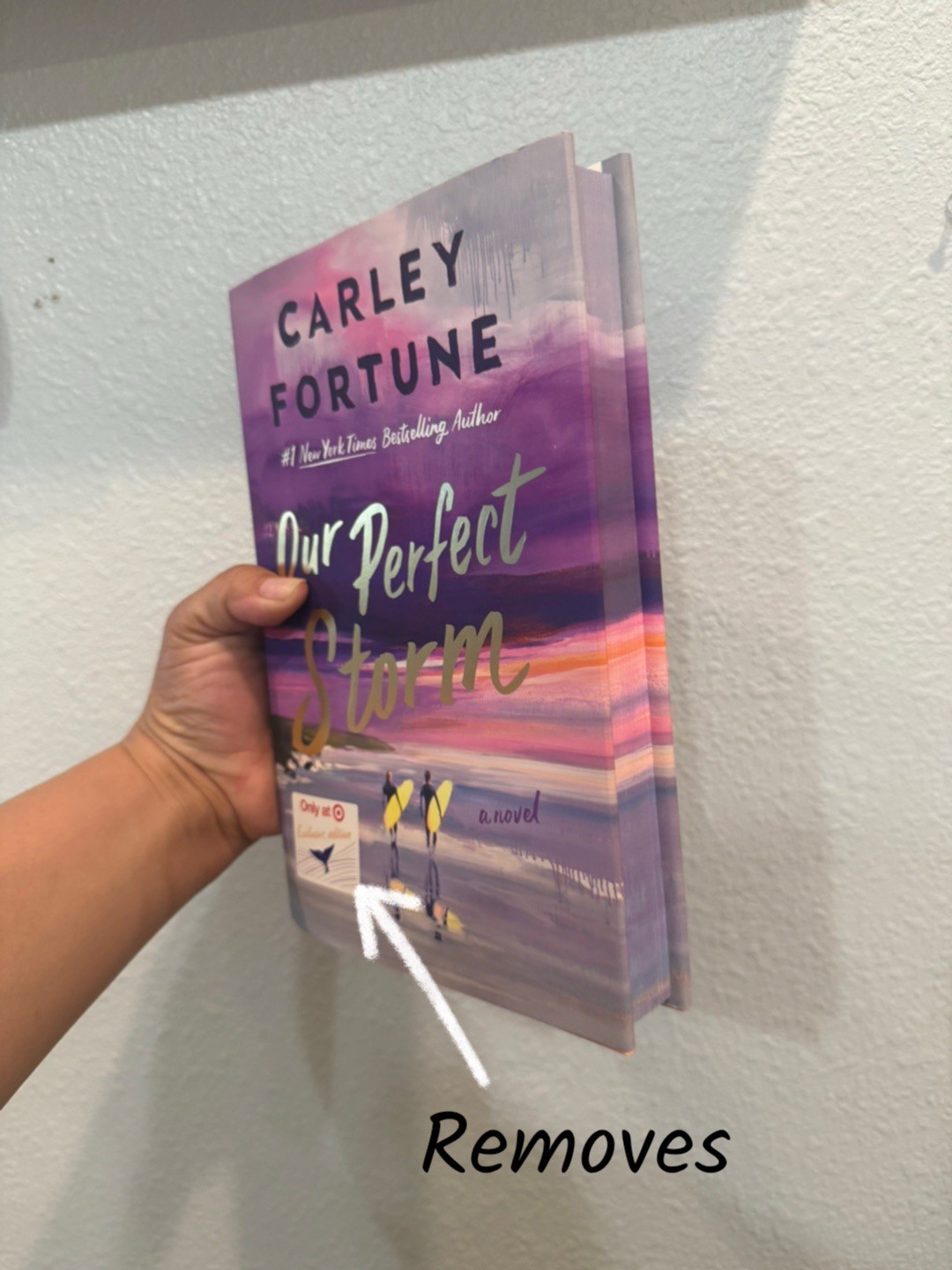 Our Perfect Storm (Target Exclusive) By Carley Fortune