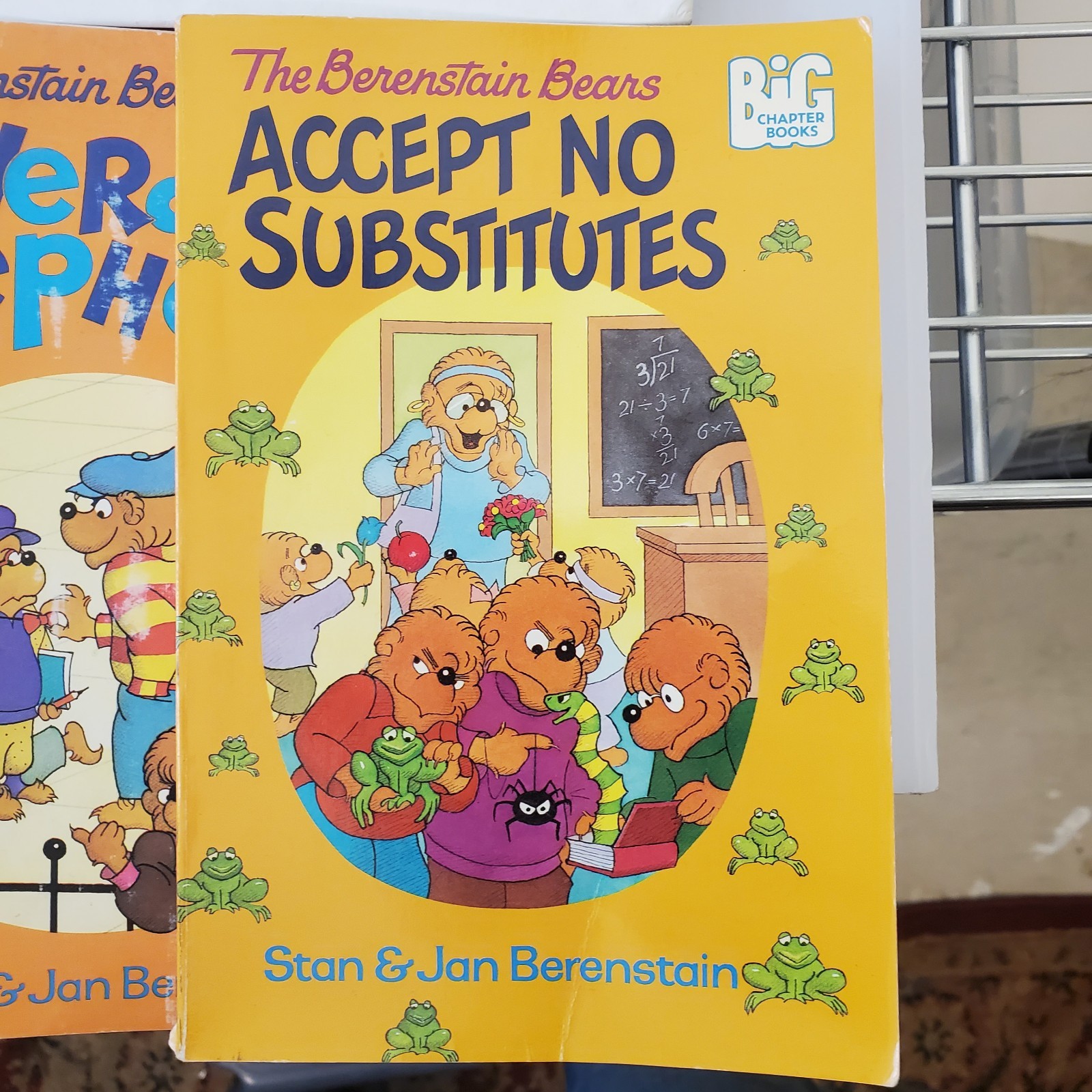 Lot of 17 Berenstain Bears Books by Stan and Jan Berenstain ~ Chapter & Picture
