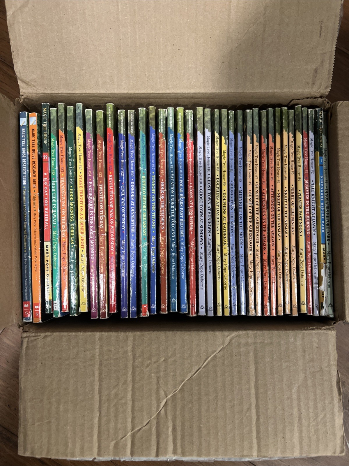 Magic Tree House Books Set by Mary Pope Osborne. Lot Of 55 Books