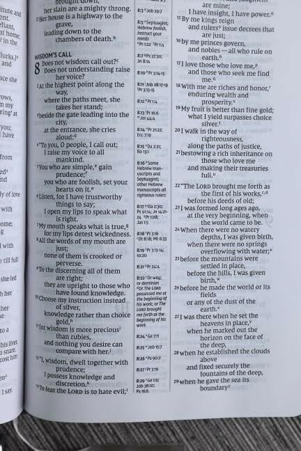 NIV, Compact Center-Column Reference Bible, Leathersoft, Black, Red Letter,