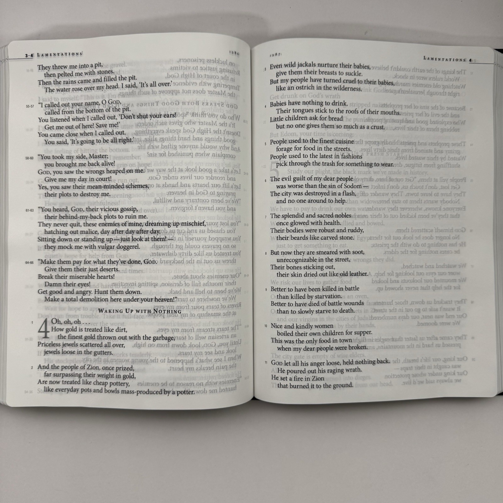 The Message Large Print Genuine Black Leather Bible Eugene H. Peterson w/ Box