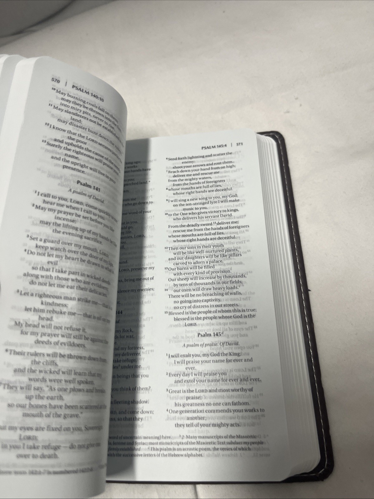Blue-Gray/ Brown NIV Compact Thinline Bible, Italian Duo-Tone Edition, Biblica/Z