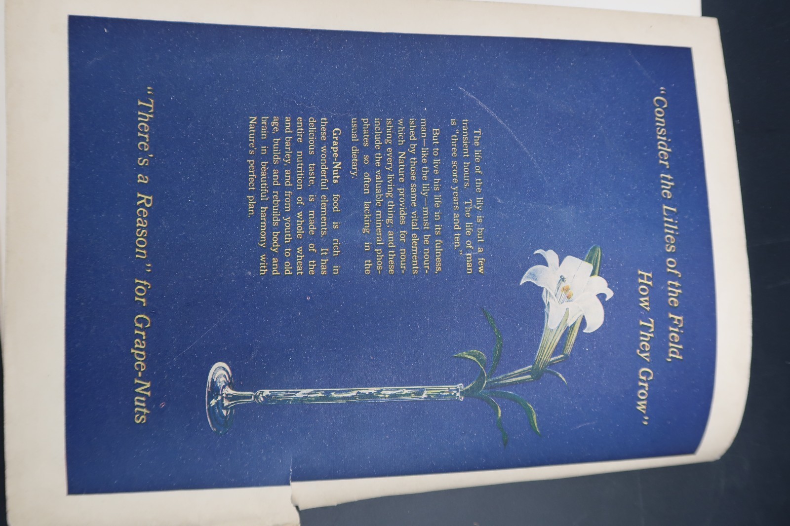 Antique Literary Digest Mar 25, 1916 Funk & Wagnalls Vol 52 #13 WW1 Science Art