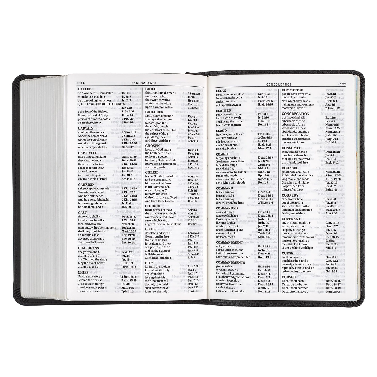 Compact Large Print KJV Holy Bible – Red Letter Edition with Ribbon Marker
