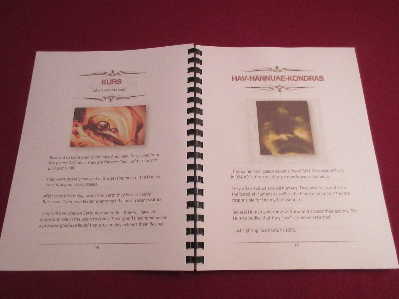 Book Of Alien Races Translated from KGB Secret Russian Book w/Pictures