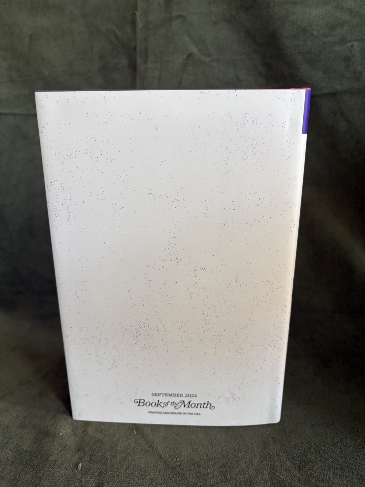 Rachel Harrison Play Nice Hardcover Berkley 2025 Book of the Month Edition