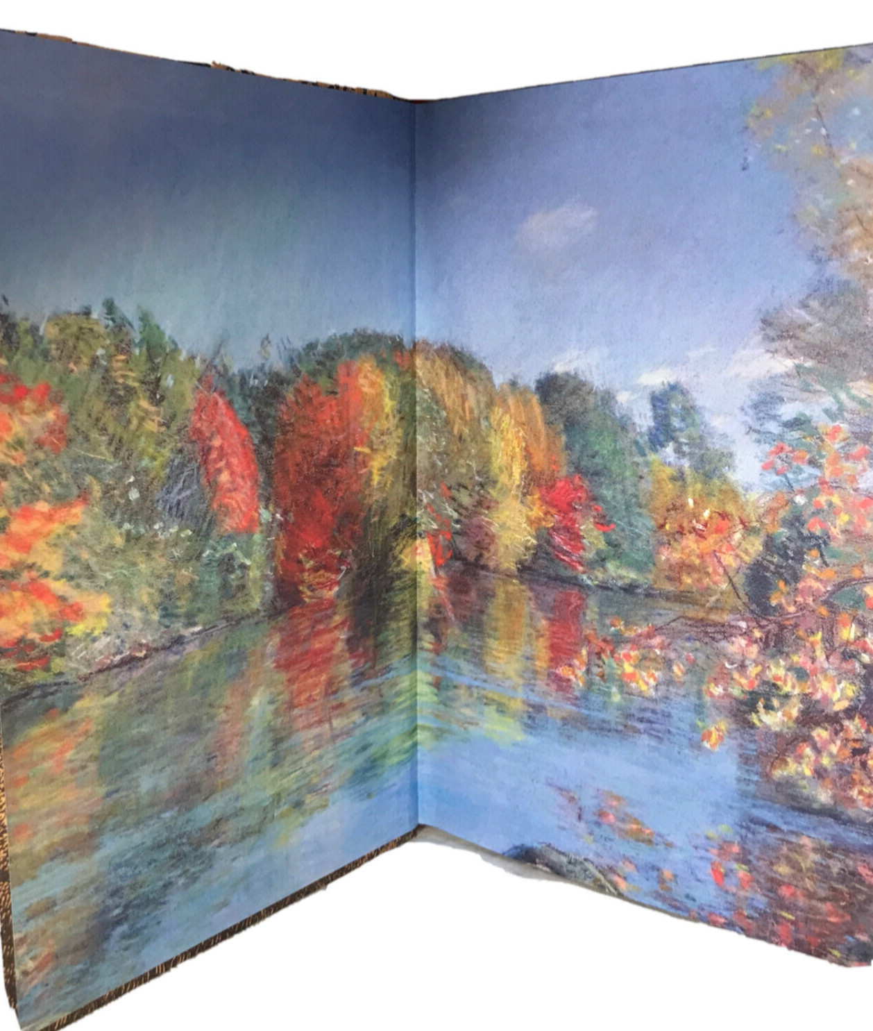 ❤️THE ILLUSTRATED WALDEN or LIIFE IN THE WOODS Henry David Thoreau NEW Hardcover