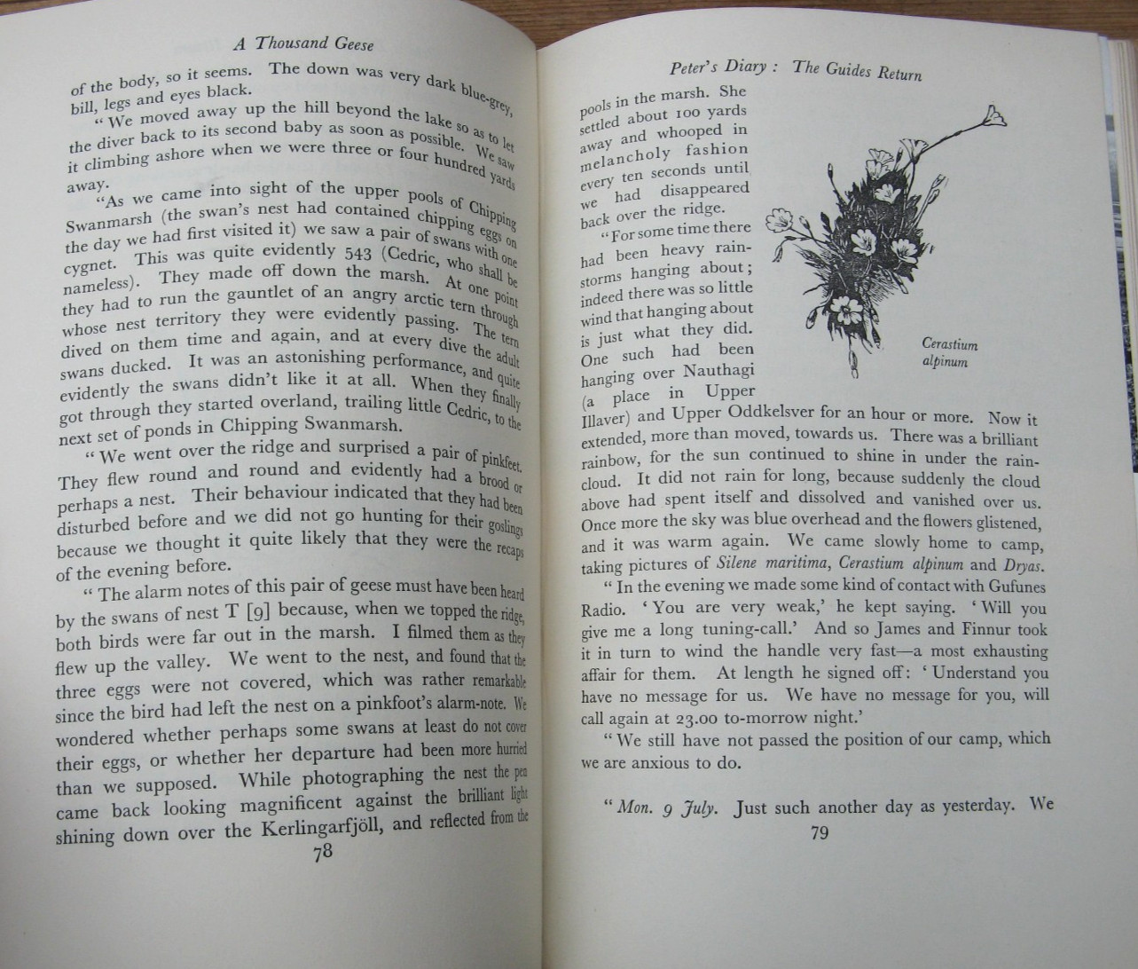 1953 A Thousand Geese- Peter Scott James Fisher 1st Edition