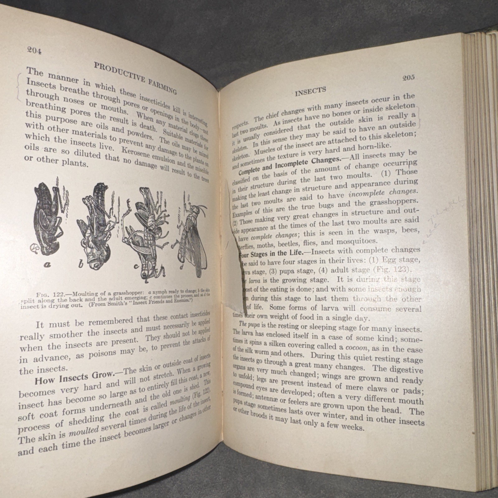 Productive Farming by Kary Davis 1912 Vintage Agriculture Book