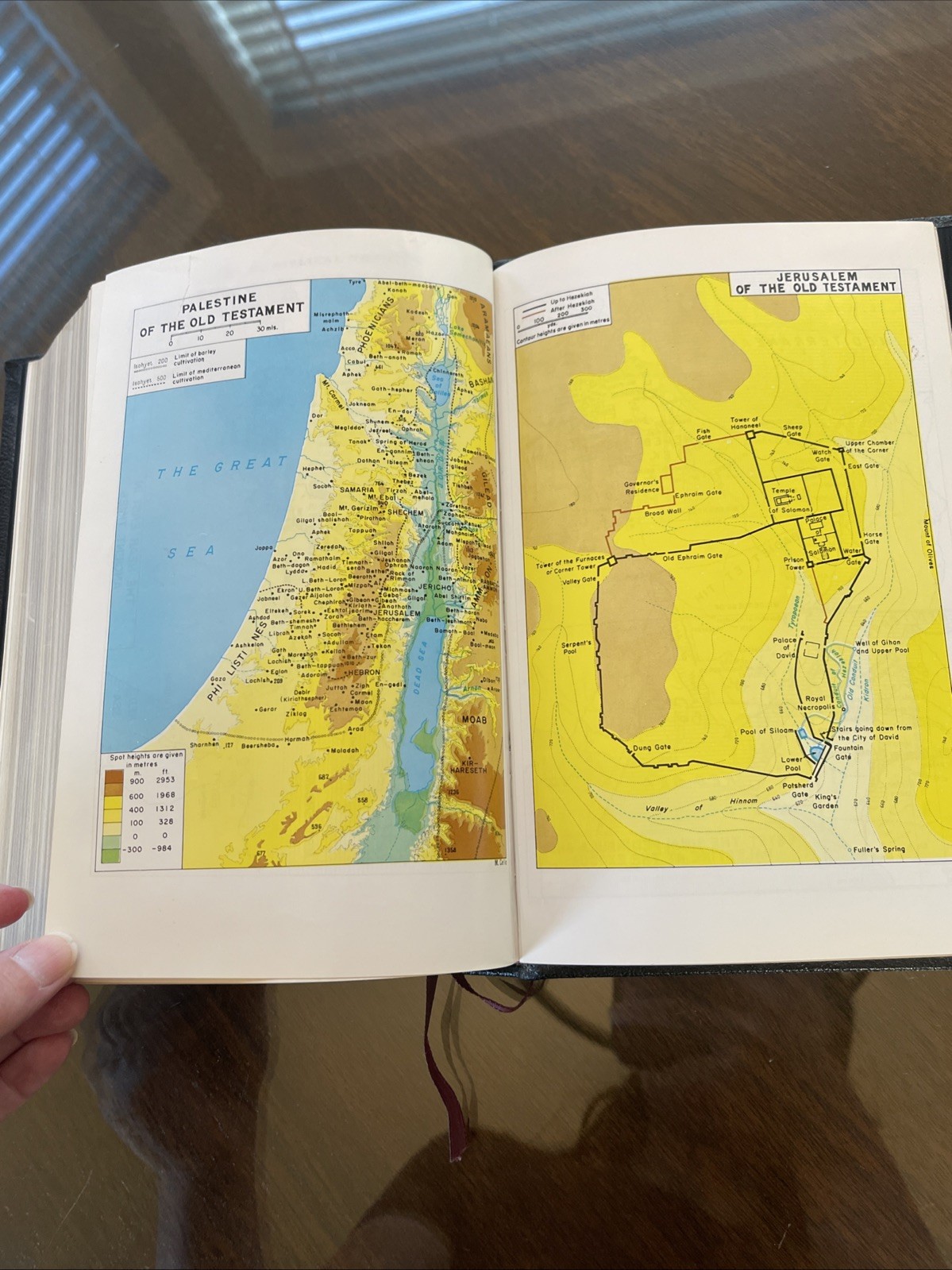 The Jerusalem Bible 1966 French Morocco Leather Doubleday Original 1st Print