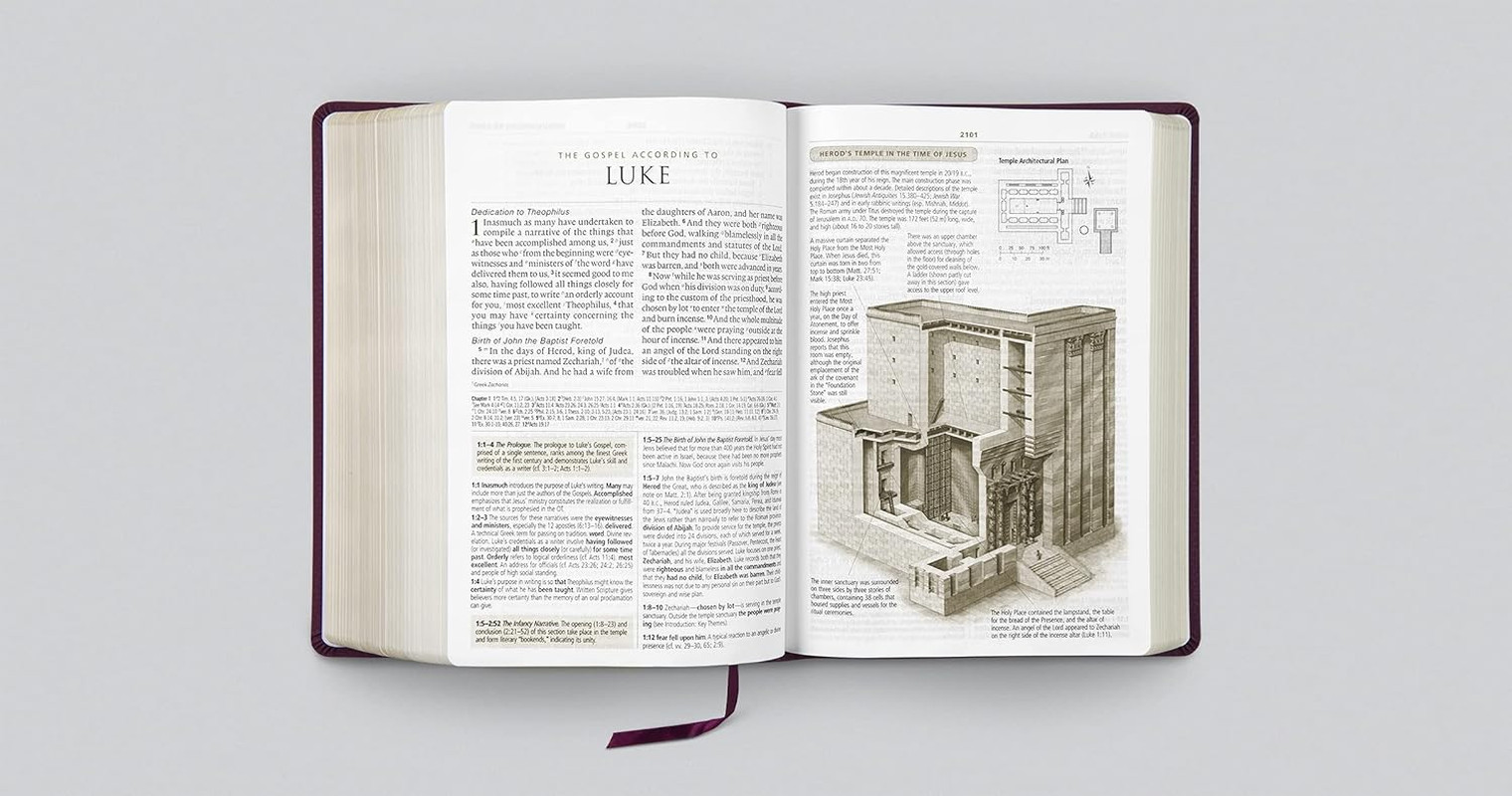 ESV Study Bible, Large Print (Bonded Leather, Burgundy): Holy Bible, English Sta