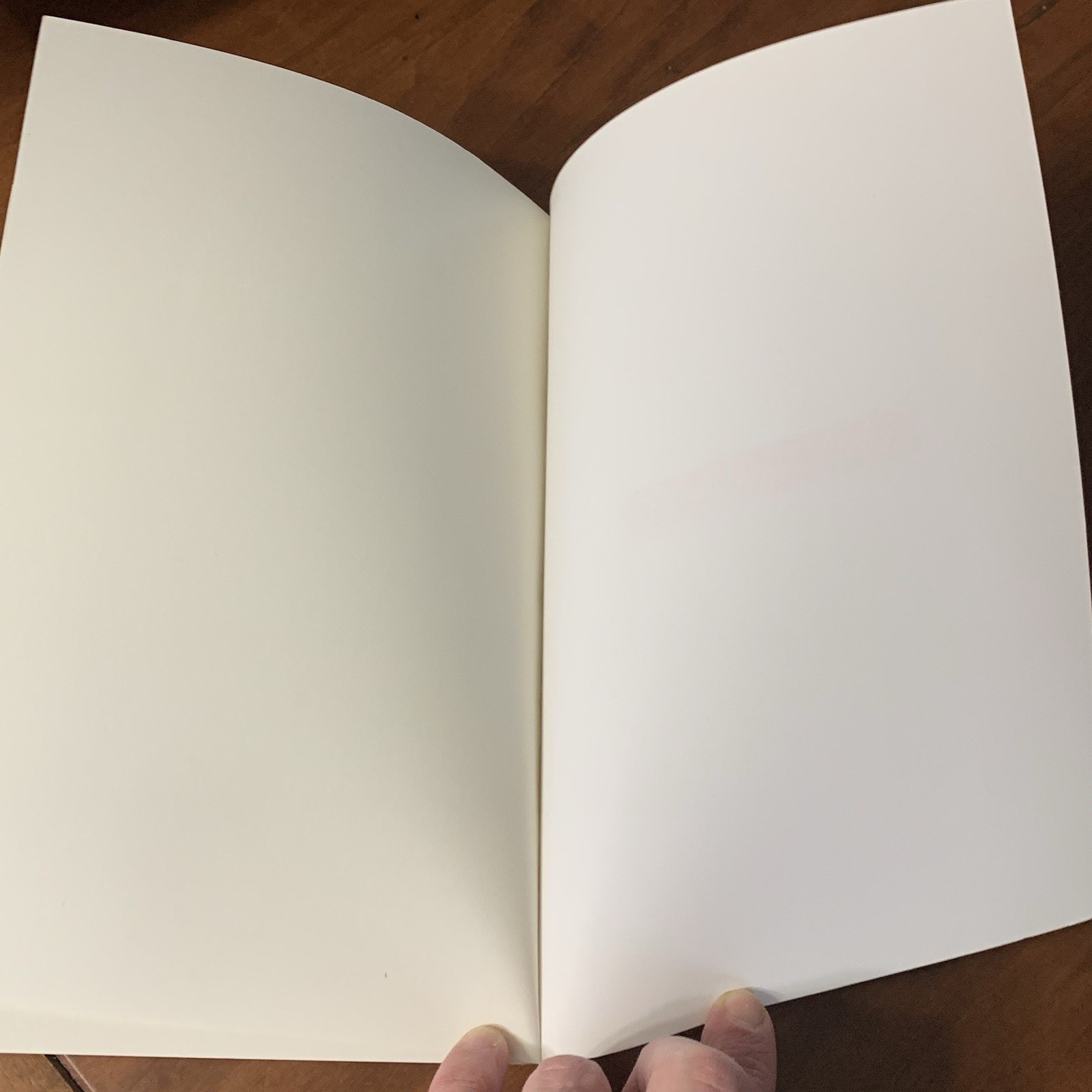 Bodies In Evidence Book Textbook Hlavka & Mulla 2021 Six Chapters 299 Pages Race