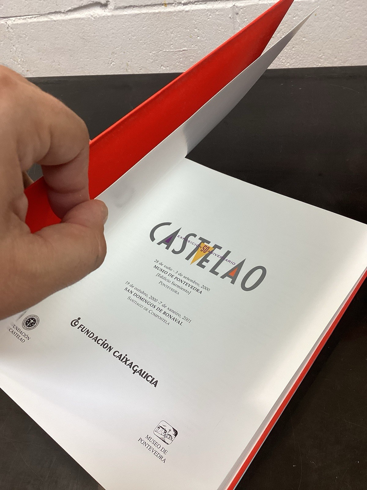 CASTELAO/50 ANIVERSARIO/G COND PB/ART BOOK FULL COLOR