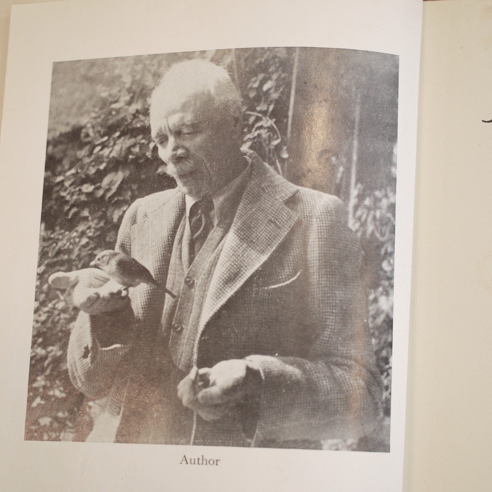 ** Lovely Copy ** Jim Corbett Jungle Lore 5th Impression in D/J 1956