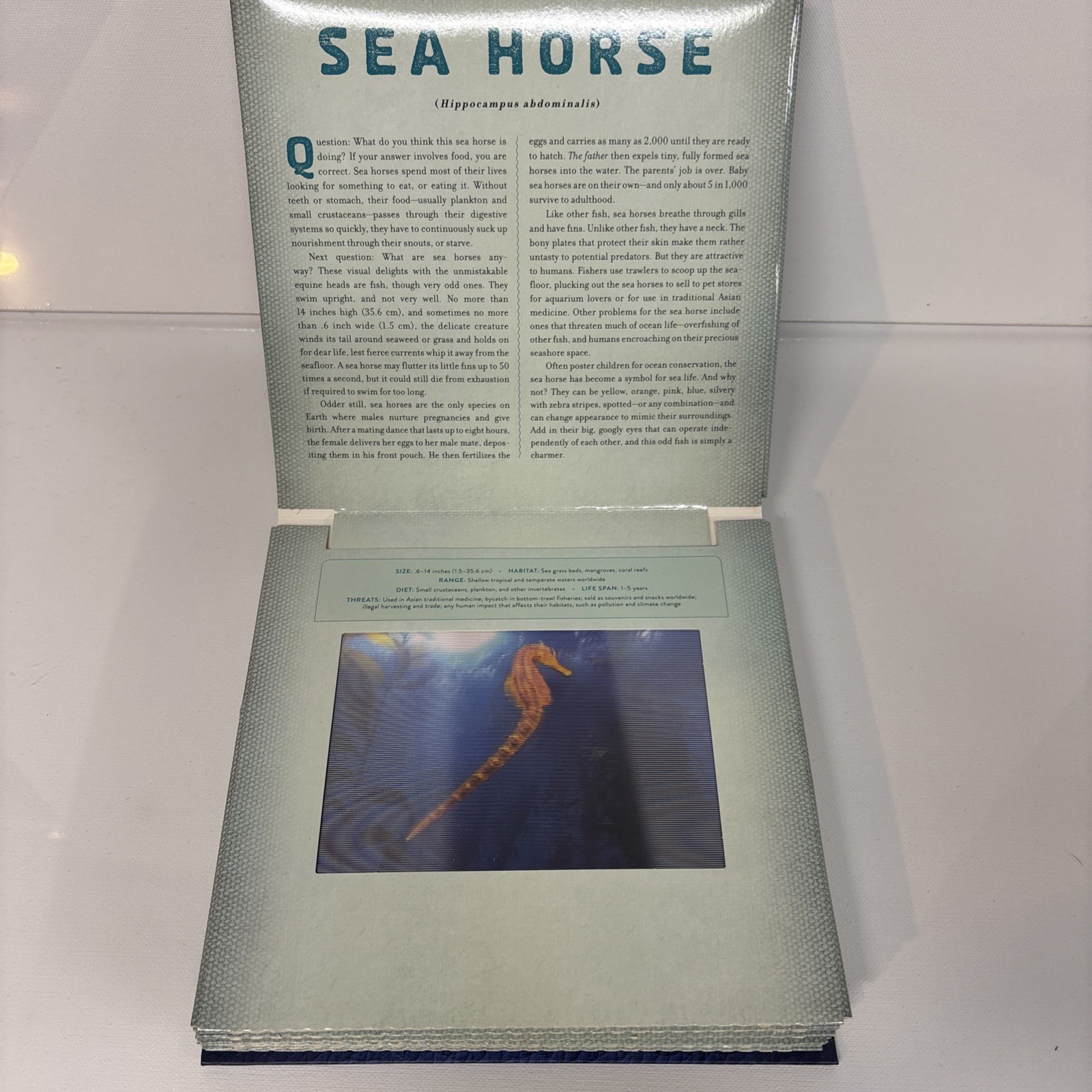 Ocean : A Photicular Book by Carol Kaufmann and Dan Kainen (2014, Hardcover)