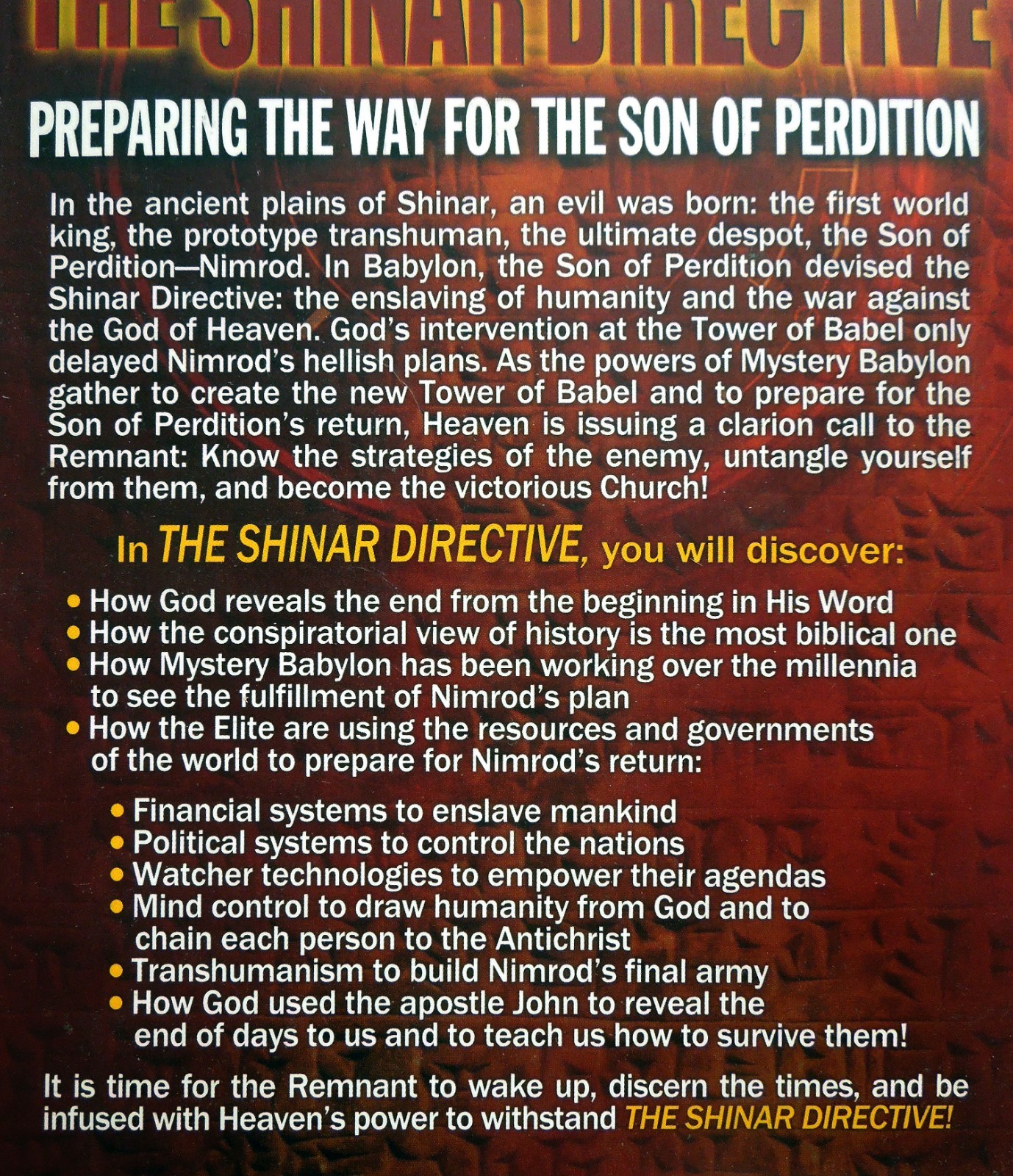 The Shinar Directive – Michael Lake, 2014 sc, Defender Publishing