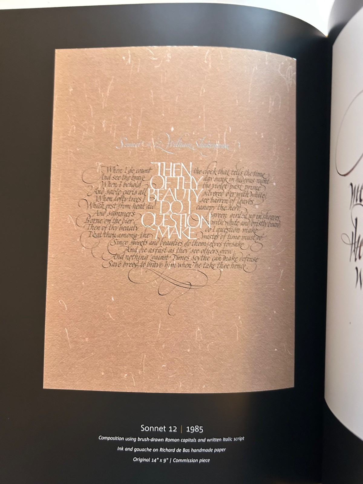 Scribe: Artist of the Written Word, John Stevens HCDJ RARE out of print
