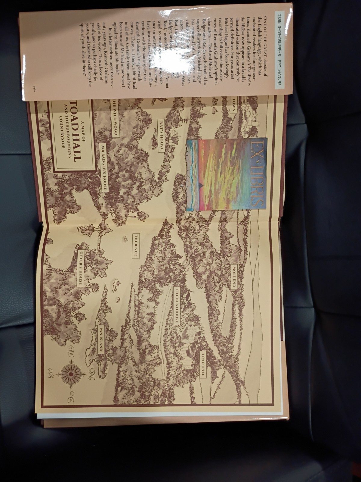 1980 The Wind in the Willows 1st Ed w/ Dust Jacket Kenneth Grahame Michael Hague