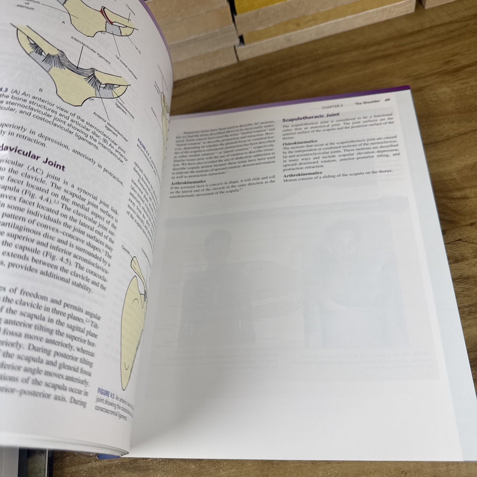 Measurement of Joint Motion: A Guide to Goniometry – Hardcover – GOOD